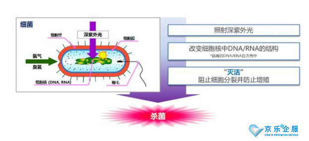 疫情下的新產物:海信殺菌消毒中央空調-圖2